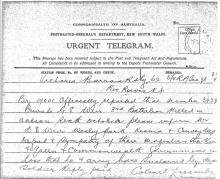 Image depicts a scan of the telegram.