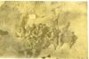 Faded sepia photograph of soldiers in uniform outdoors.